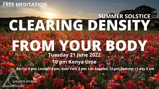 Damien Wynne - free meditation - CLEARING DENSITY FROM YOUR BODY
