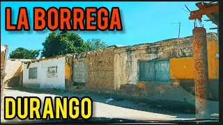 EJIDO DOLORES DGO ( LA BORREGA) MUNICIPIO DE GOMEZ PALACIO DGO MEXICO