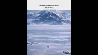 Read it in description📝 #shorts #penguin #viral #motivation #quotes #motivation #viral