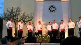 Klapa Luminali - Ponistra je drivo.MOV