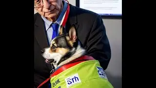 Unleashing Canine Intelligence: Insights from Stanley Coren's Research
