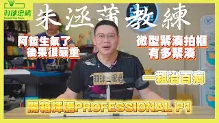輝厲 FELET PROFESSIONAL P1 | 天青色等煙雨塗裝也太美｜重新定義新潮流攻擊拍｜微型緊湊拍框竟然不是字面上的意思｜一粗治百病｜