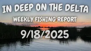 The In Deep On The Delta Weekly Fishing Report For 9/18/2025.