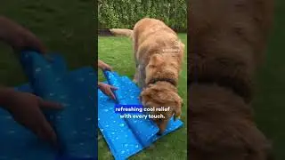 Dog mat | cooling mat | summer mat for dogs | pet cooling mat