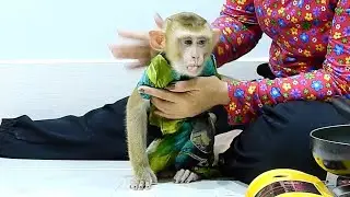 OMG! What's Wrong To Innocent PAQUI, Mom Help Him To Vomit.