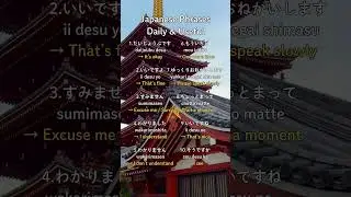 50 Must-Know Japanese Phrases for Daily Life!
