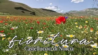 Castelluccio di Norcia e l'ex ferrovia Norcia-Spoleto in bici