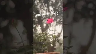 Aaj Se Teri New Hindi Song Flowers Cinematic Stutas video #stutas #flowers #ytshorts #nature #reels