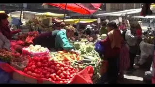 &iquest;Cu&aacute;les son los precios de la canasta familiar?