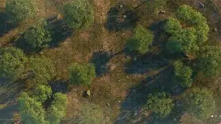 Animated forest battle map