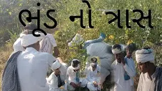 ભૂંડનો ત્રાસ# ગુજરાતી કોમેડી #comedy #funny #gujarati #virl#vayad#patan#