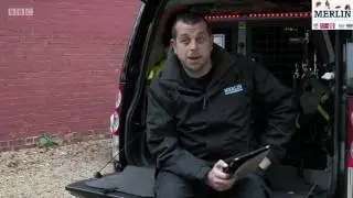 Merlin Bed Bug Detection dogs BBC1