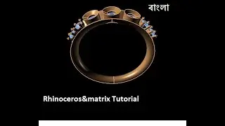 Ring Cells in Rhinoceros&matrix Tutorialby cad 5 13042020