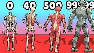 Human Run Gameplay Walkthrough Part 1 - From Skeleton to Man (Android,iOS)