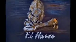 Yerba Santa- el hueso 🦴