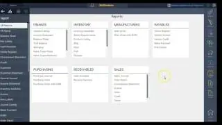 Reporting module - Paragon ERP demonstration