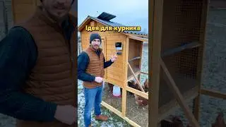 Ідея для курника 🐓