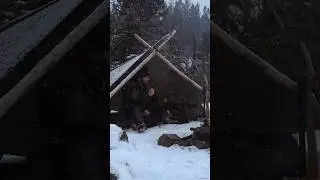 Dropping trees in a heavy snowstorm #bushcraft #winterbushcraft #firewoodcutting #solocamping