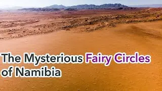 NAMIBIAN WEST COAST IS WHERE NAMIB DESERT MEET (HINDI)