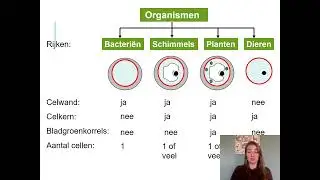 Samenvatting Ordening & Evolutie 3 VMBO Biologie Voor Jou MAX