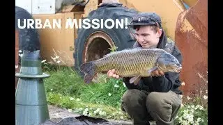 Urban Carp Fishing - Up North