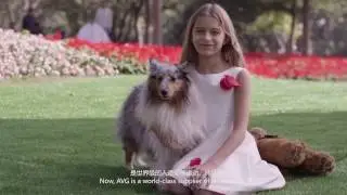 ALL VICTORY GRASS COMPANY INTRODUCTION