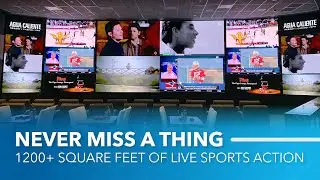 Christie Spyder feeds Agua Caliente&rsquo;s 360 sports bar and restaurant