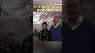 NZ couple opens manor to public for a cherry blossom display