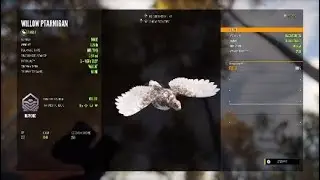DIAMOND and RARE highlights #56 The Hunter: Call of the wild