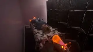 Plasma Med Bed by Theraphi