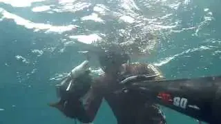 Muxarra 2  13 10 13
