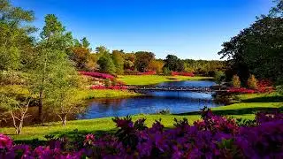 Bellingrath Gardens Alabama ~ Beautiful Nature Landscape ~ Instrumental Music for Background