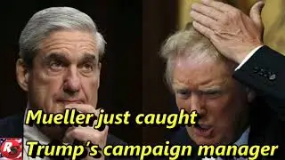Mueller just caught Trump&rsquo;s campaign manager in an illegal witness tampering plot