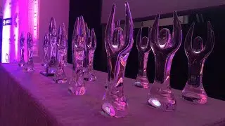 Mick&rsquo;s Garage Founders Honoured at 2017 Net Visonary Awards