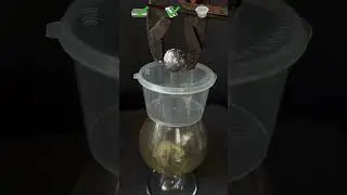 Playing With 1000&deg; hot iron ball