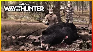 Bullet proof Bears! Quick Hunts - Way of the Hunter