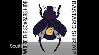Where The Scarabs Hide