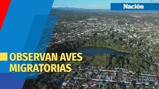 Biólogos observan aves migratorias en Laguna Cuzcachapa, Chalchuapa
