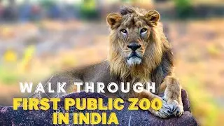 Vandalur Zoo Tour| India's First Public Zoo | வண்டலூர் உயிரியல் பூங்கா |