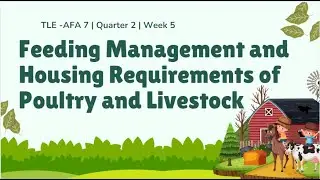 TLE AFA 7 Q2 Week 7 - Feeding Management and Housing Requirements of Poultry and Livestock