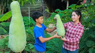 Giant Wax Gourd: Pick Big Wax gourd for recipe / Wax gourd cook with egg and edible amaranth