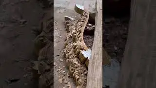 Manufacturing processes of making a solid wood bed set in Sheesham wood. Our team is working hard.