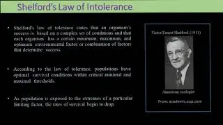 Limiting Factor