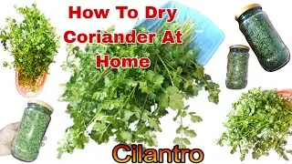 How To Dry Coriander Leaves At Home | How To Wash & Store Coriander Leaves | How To Store Cilantro |