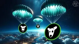 HOW TO TRADE OR SELL YOUR $DOGS ON BITGET BYBIT BINANCE