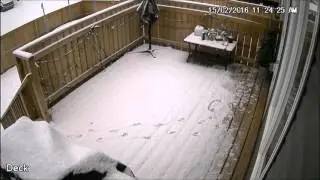 Time lapse. Snowfall in Saskatchewan Feb. 2016