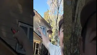 The house paint