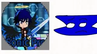 I hate sonic the pro