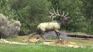Как на самом деле выглядит номер в отеле Taos, El Monte Sagrado Resort & Spa?