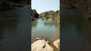 #kerala #river #dam #canal #food #biryani #mutton #water #nature #keralavibes #biryanilove #keralaon